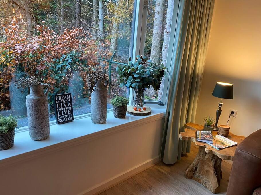 Op Boszicht Genieten Van De Rust & Natuur Putten Eksteriør bilde